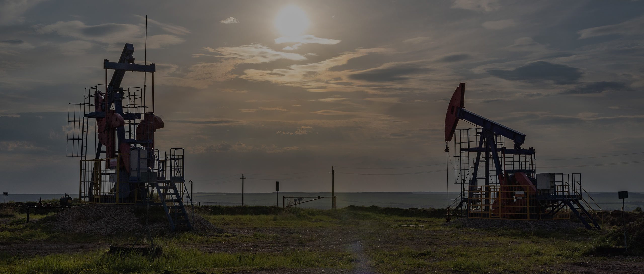 РОСТ И ПРОГРЕСС!